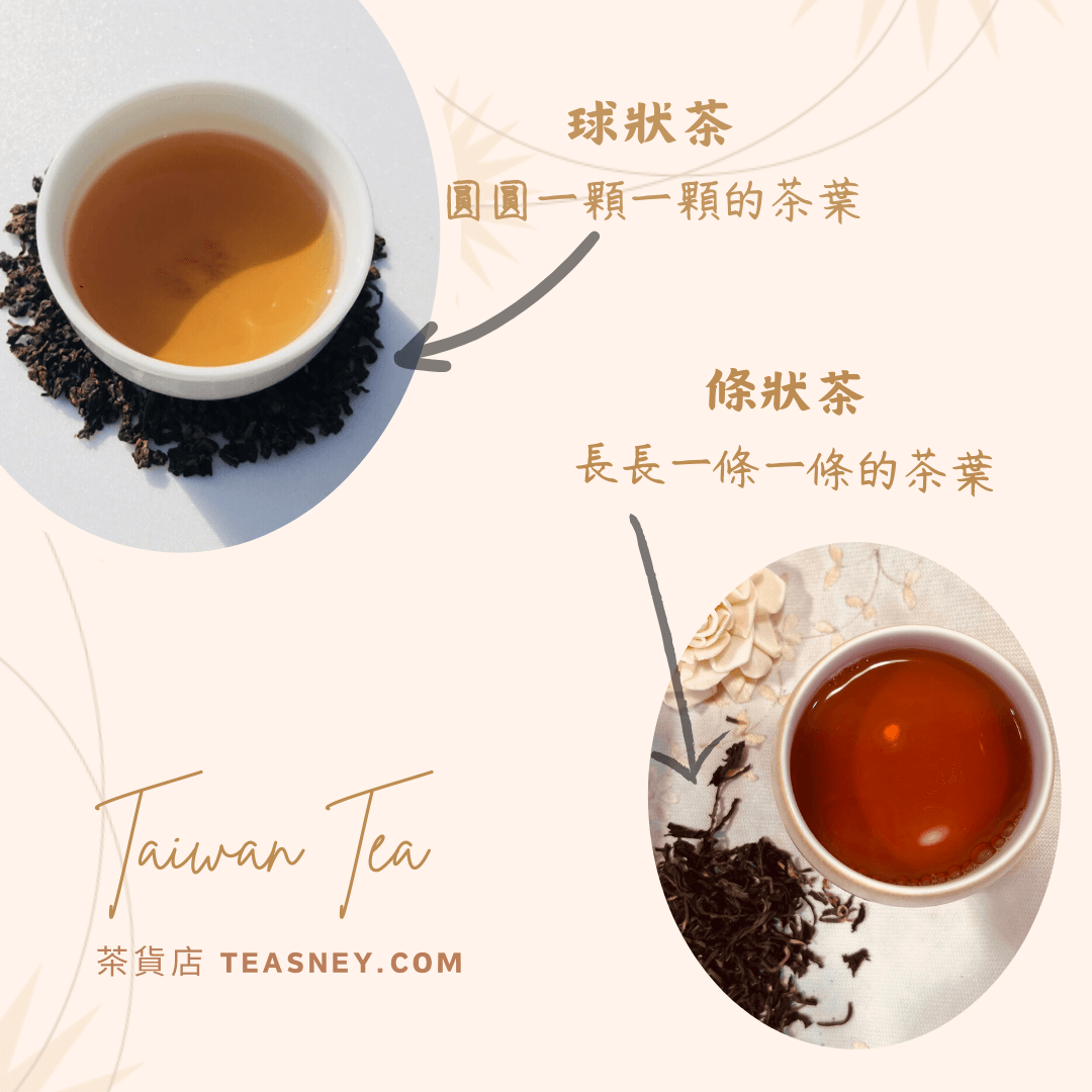 茶葉學問：條狀茶葉與球狀茶葉有何差異？ 1